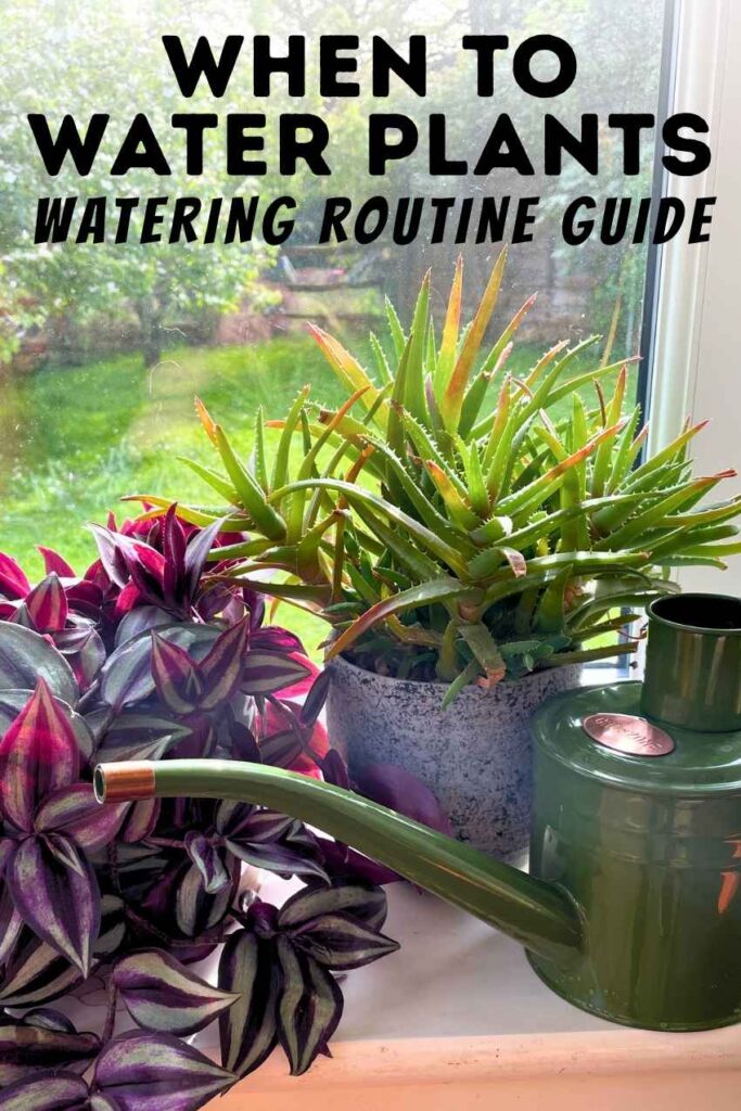 photo of plants on a windowsill with a watering can