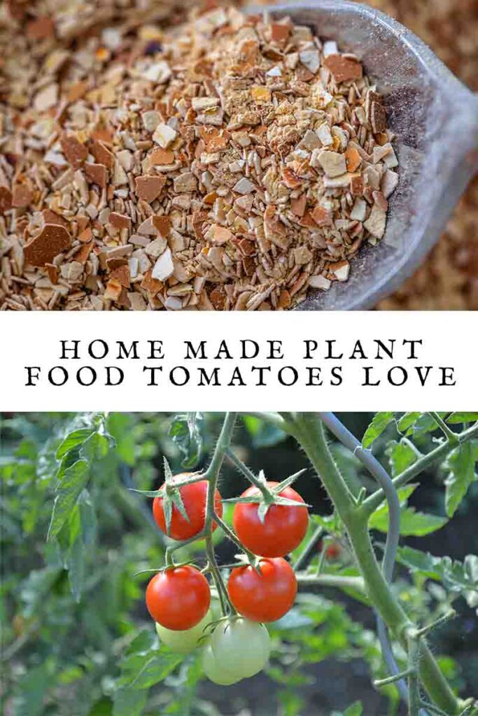 home made plant food tomatoes 