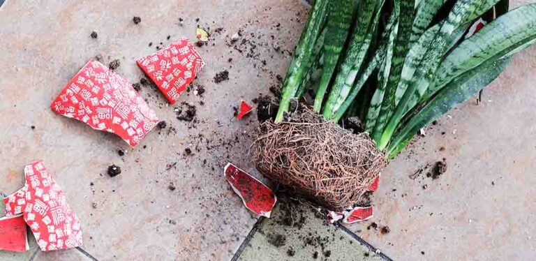How To Stop Plant Pots Falling Over In Wind
