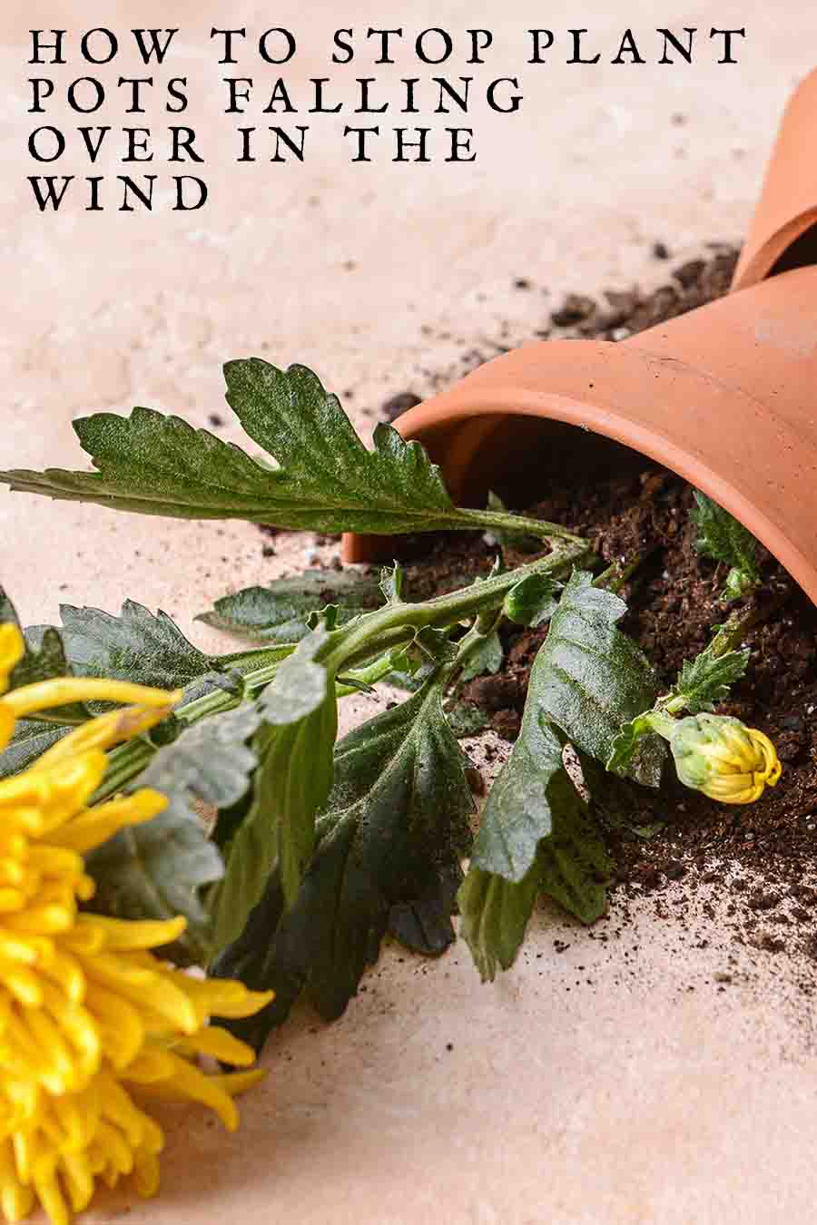 How To Stop Plant Pots Falling Over In Wind 10 Ideas To Try