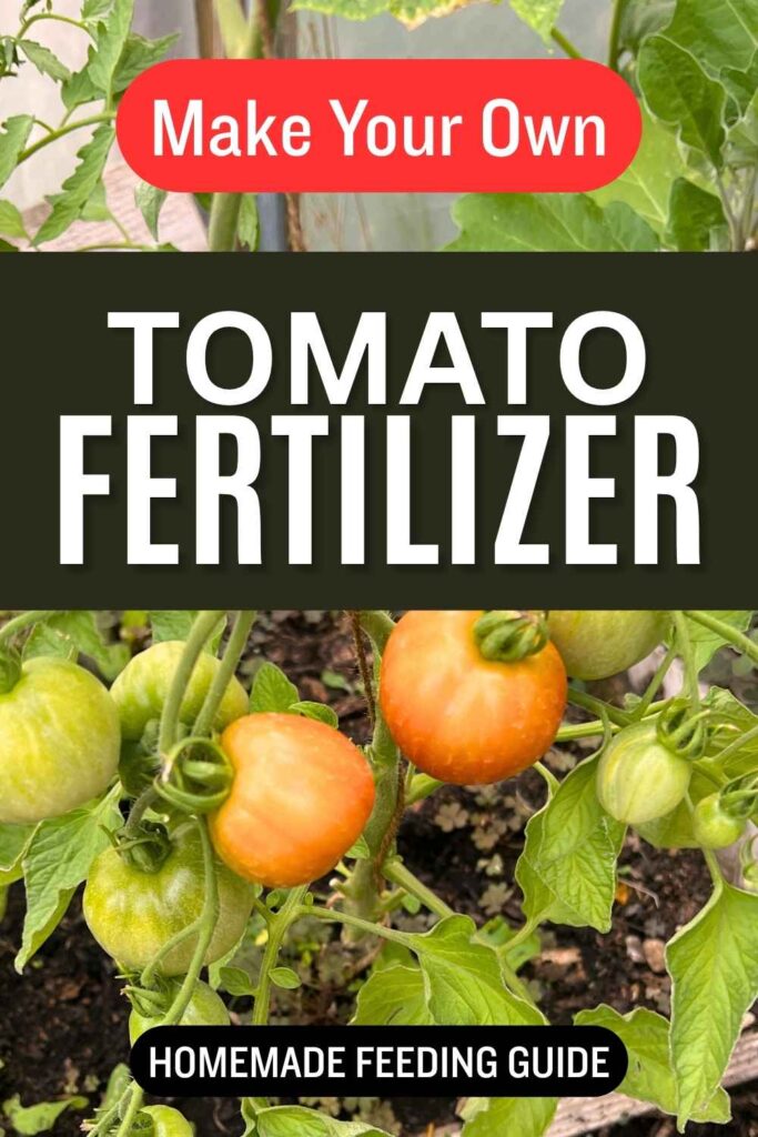 photo of tomatoes on the vine with text overlay that reads Make Your Own Tomato Fertilizer