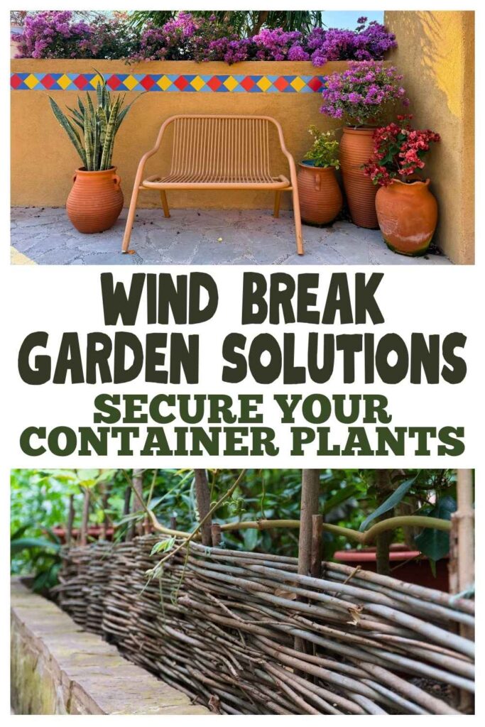 photo of wind break garden colutions for container plants