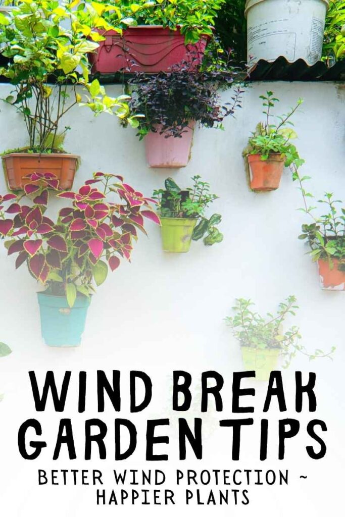 photo of plant pots attached to a white wall