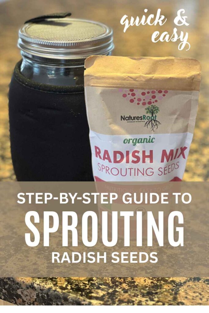 photo of a sprouting jar and a packet of radish seeds