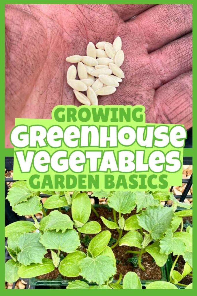 photo of vegetable seeds in a hand above photo of seedlings