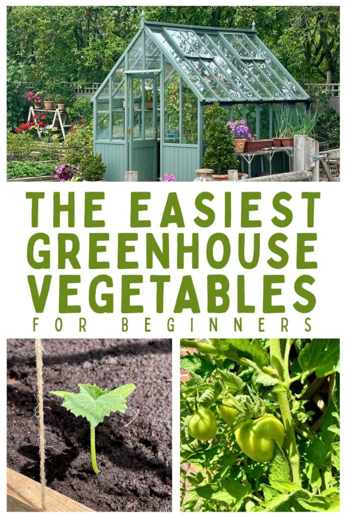 photos of some of the easiest greenhouse vegetables