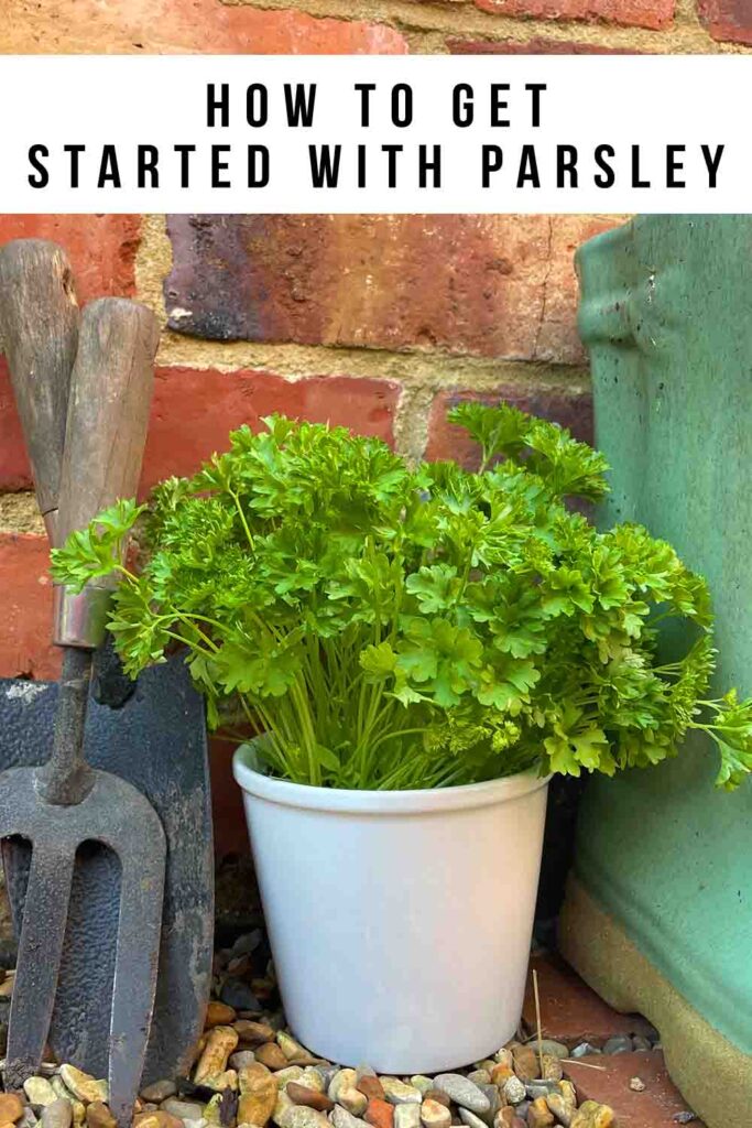 how to get started with parsley