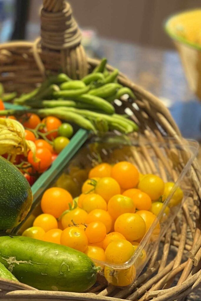 golden tomatoes in a vegetable basket