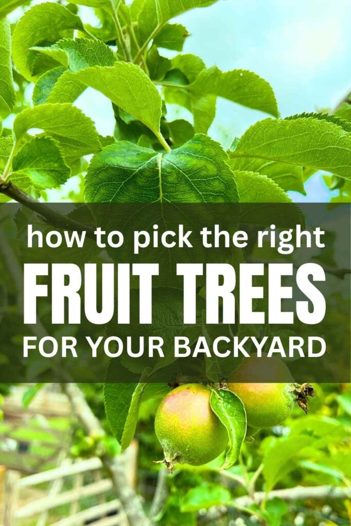 photo of an apple tree with text overlay that reads: how to pick the right fruit trees for your backyard