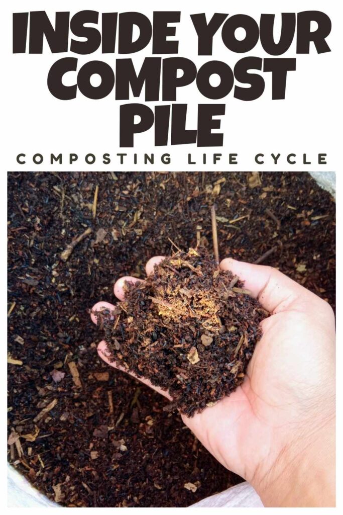 photo of homemade compost in a person's hand