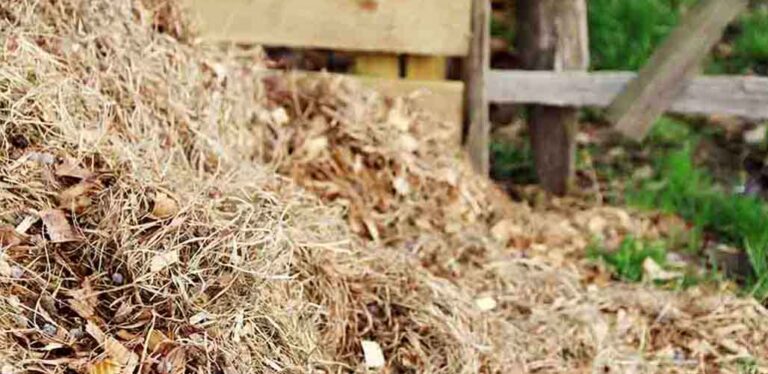 composting hay and straw