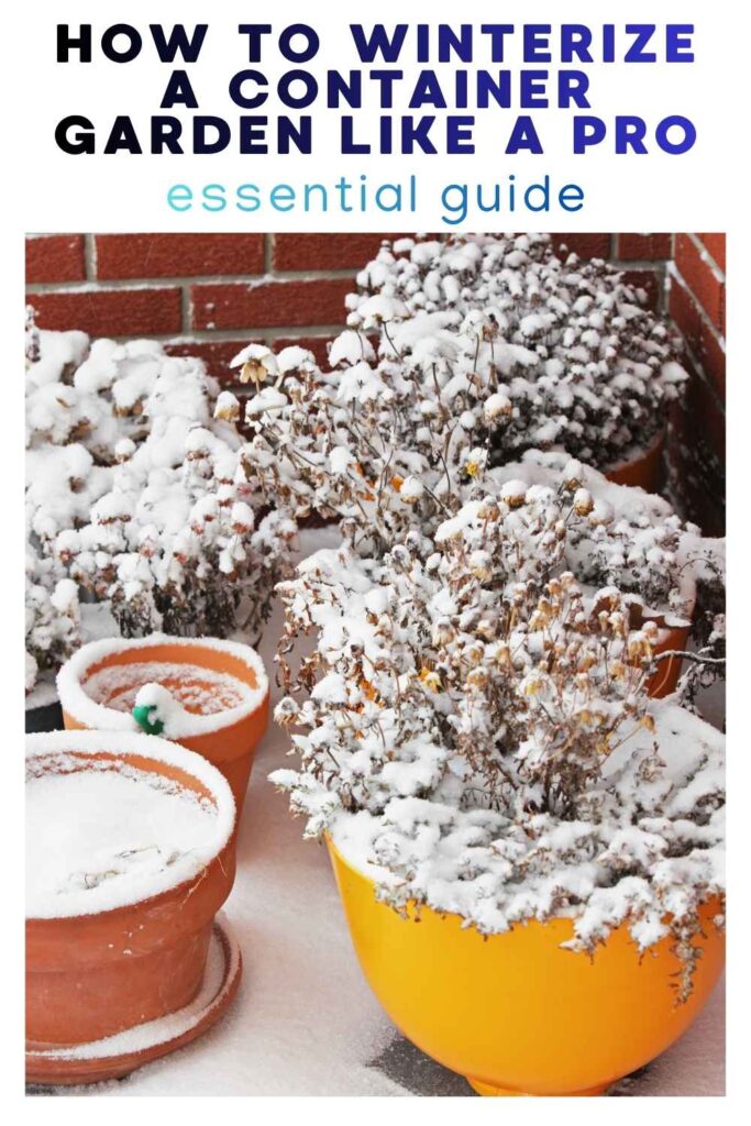 photo of container garden in the snow