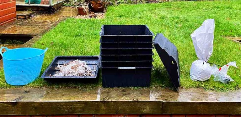 My Experience Of Setting Up A Worm Farm