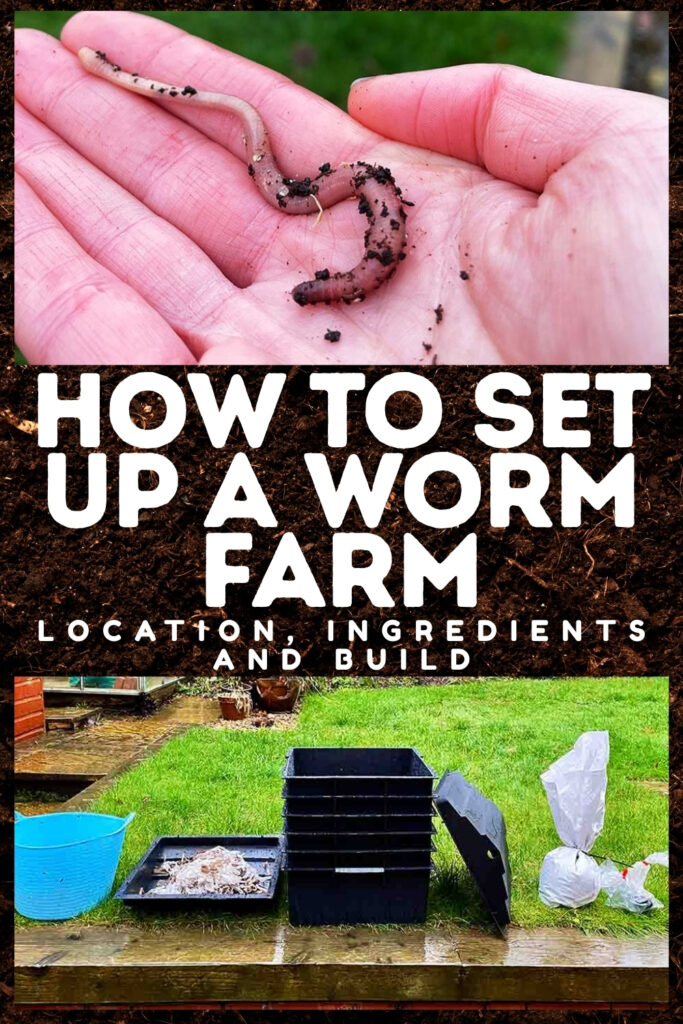 photo of an earthworm in a person's hand above a photo of worm farm equipment