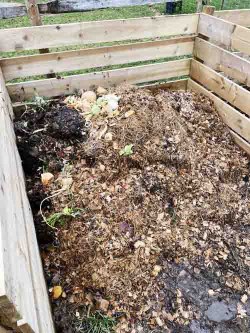 what's happening inside your compost heap