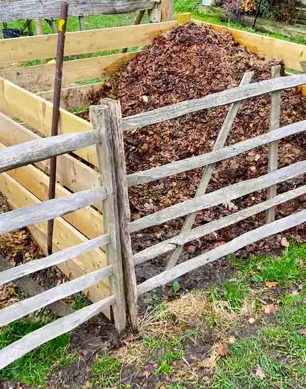 what's happening inside your compost heap