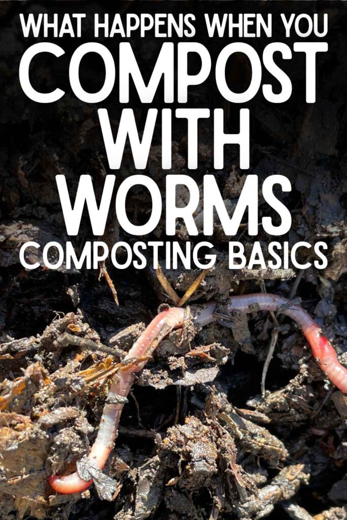 photo of worms in compost pile