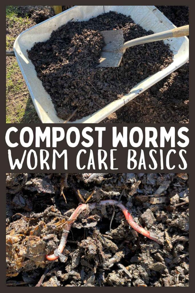 photo of DIY compost with worms