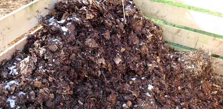 composting during the coldest months of the year
