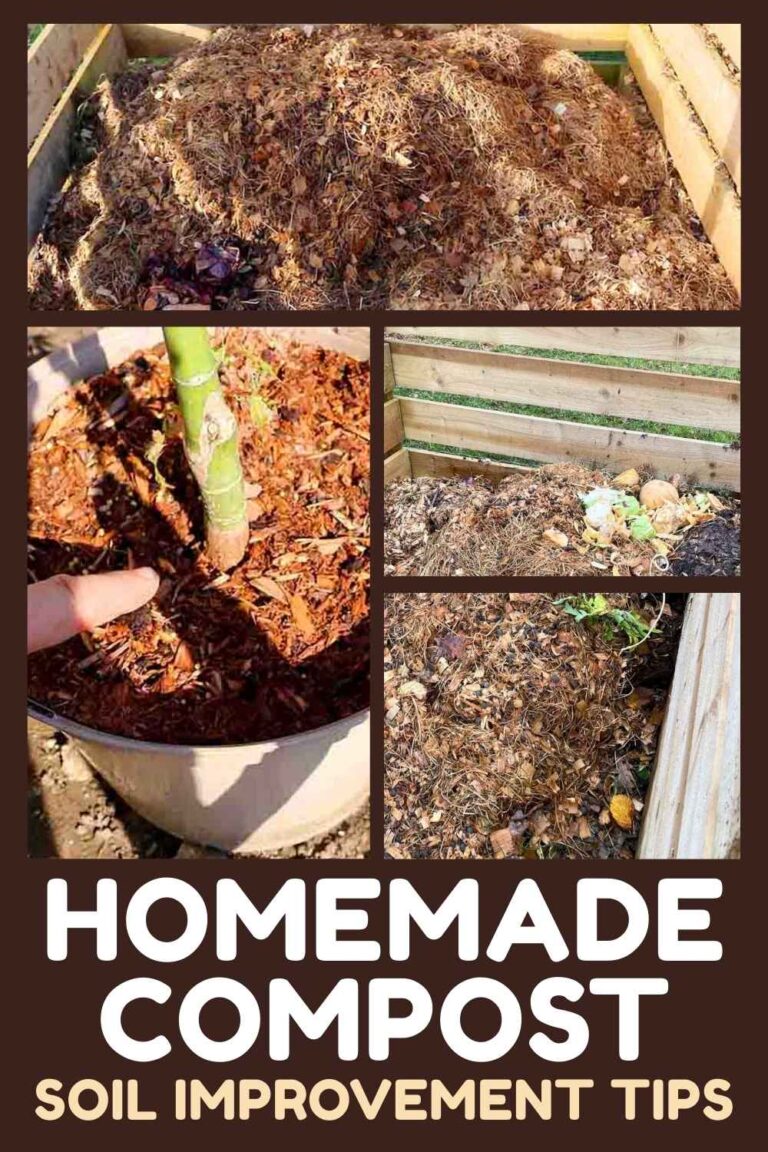 What To Do With Your Homemade Compost