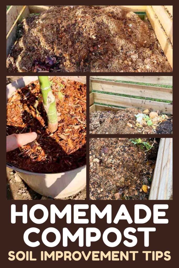 photos of homemade compost