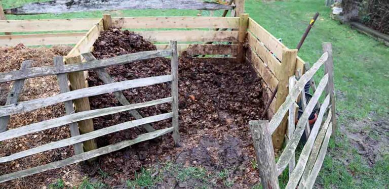 how to stop your compost pile attracting pests