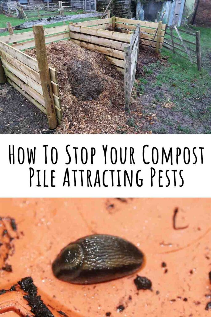 how to stop your compost pile attracting pests