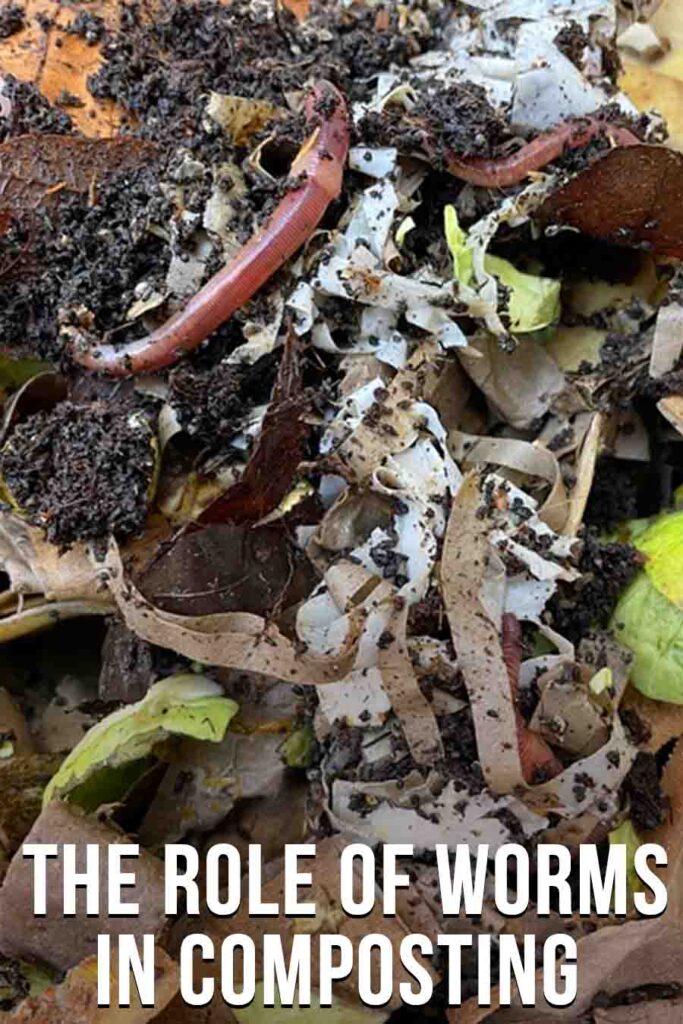 the role of worms in composting