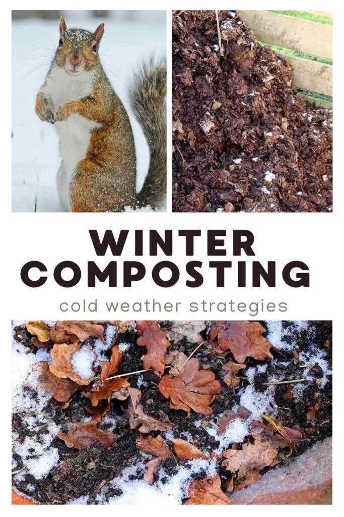 photos of compost piles and a squirrel in cold weather with text overlay that reads: Winter Composting