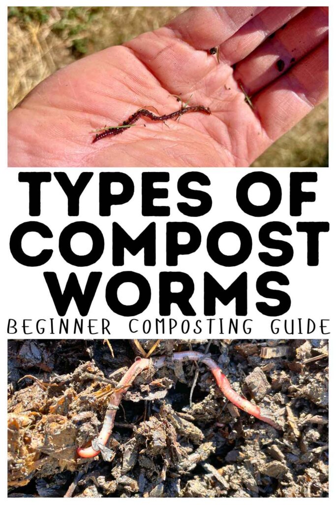 photos of garden worms
