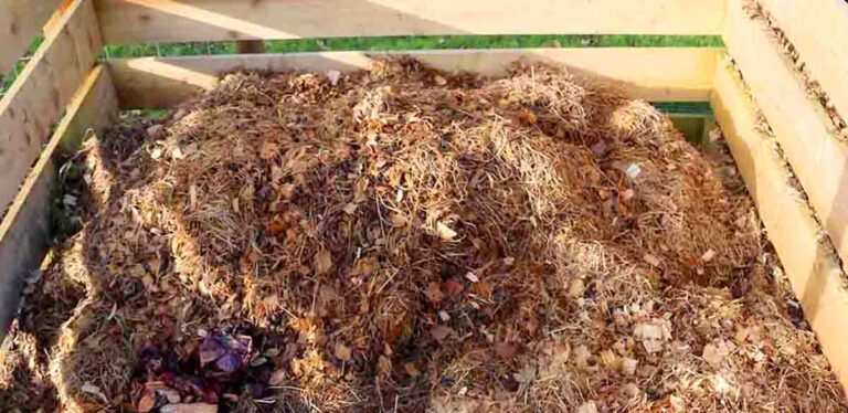 what to do with your homemade compost