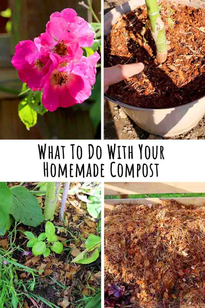 what to do with your homemade compost