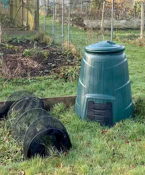 plastic composter located in the corner of a small vegetable garden