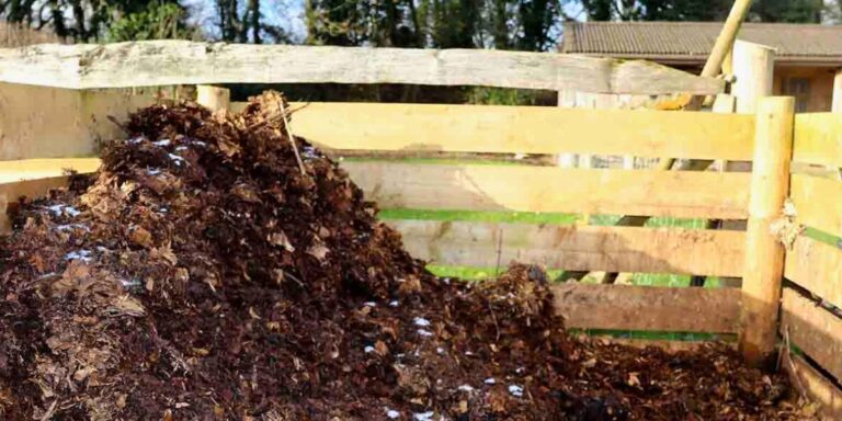 is my compost ready for use header