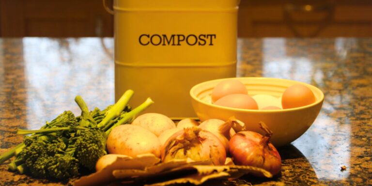What To Put In Your Compost Bin (And What To Leave Out)