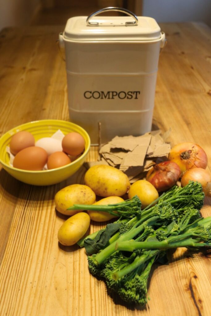 what to put in your compost bin