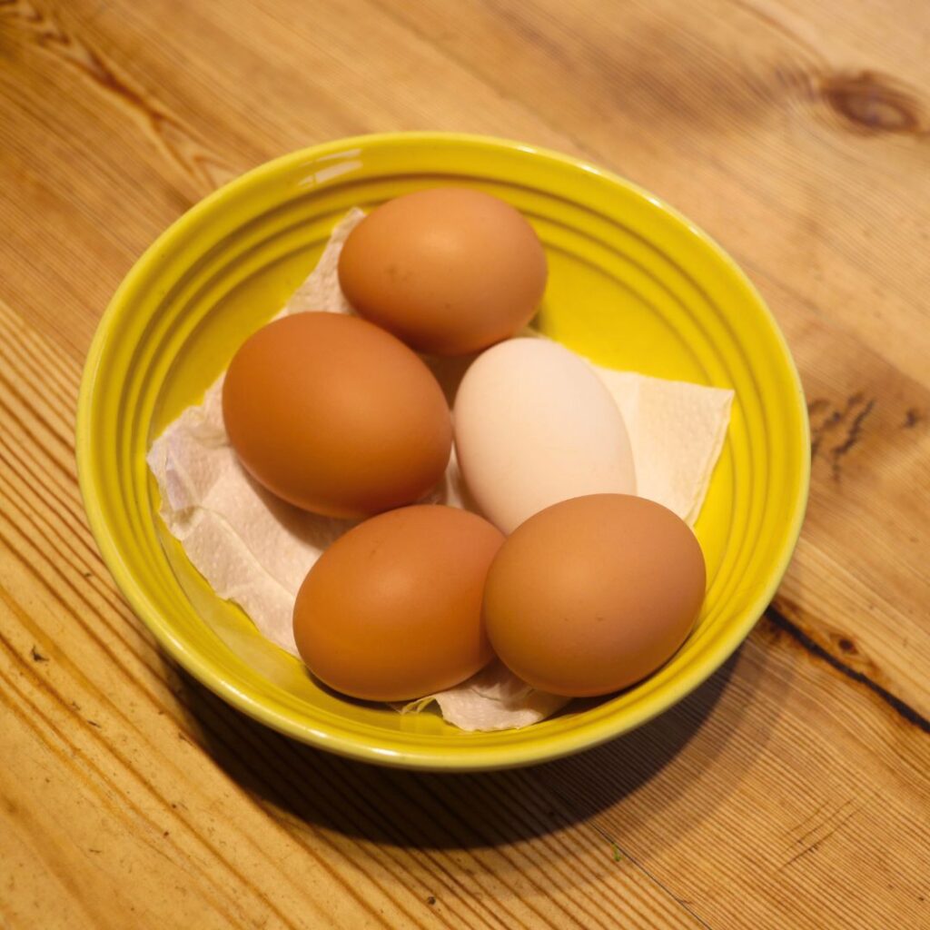 egg shells can be added to a compost bin