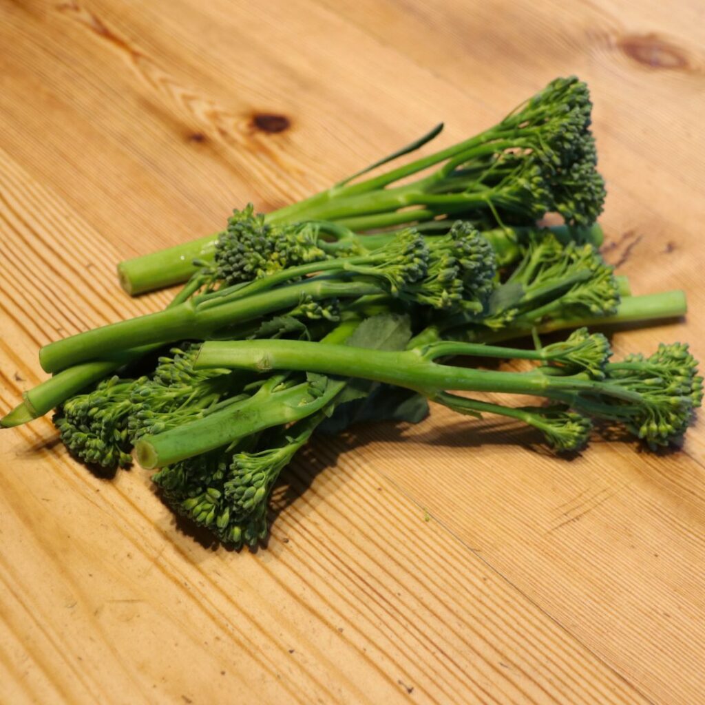 this broccoli can go in a compost bin