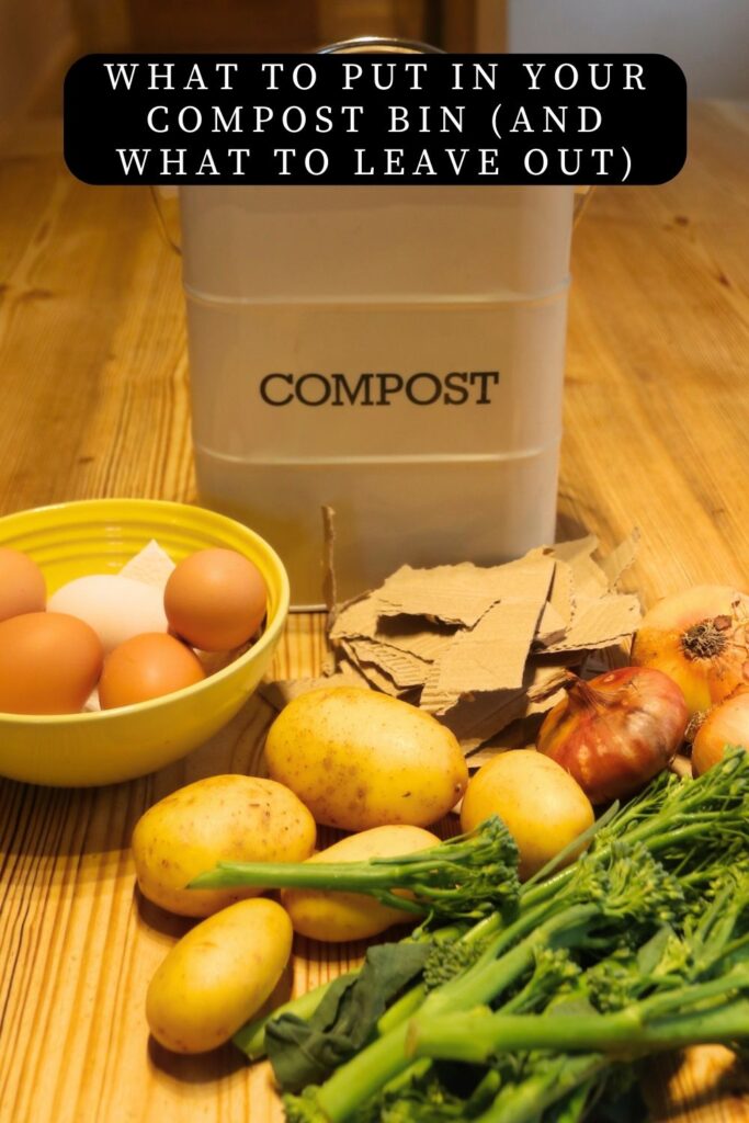 what to put in your compost bin