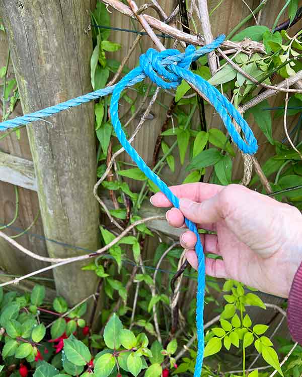 blue string holding plants against a wooden fence