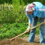 photo of a woman hoeing on a black background with white text overlay that reads: hoe before you see a weed, and you'll never see a weed.