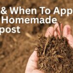 photo of homemade compost