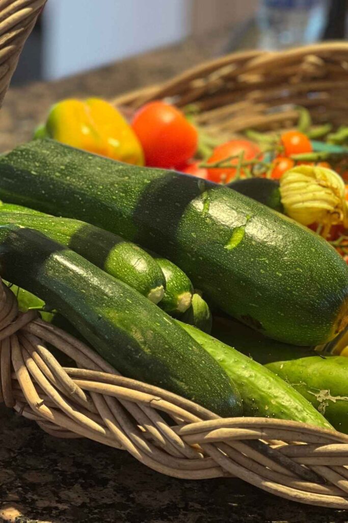 photo of zucchini in a basket with tomatoes 