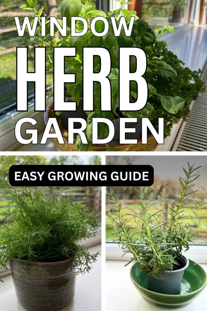 photos of window herb garden