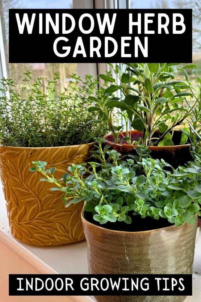 photo of a window herb garden