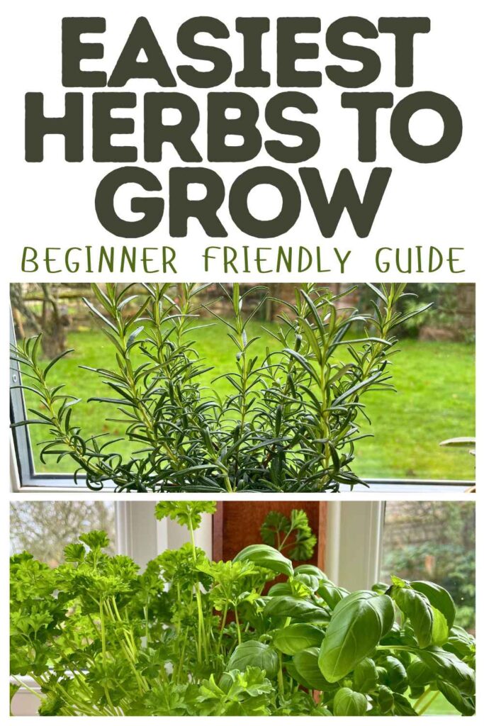 photos of the easiest herbs to grow