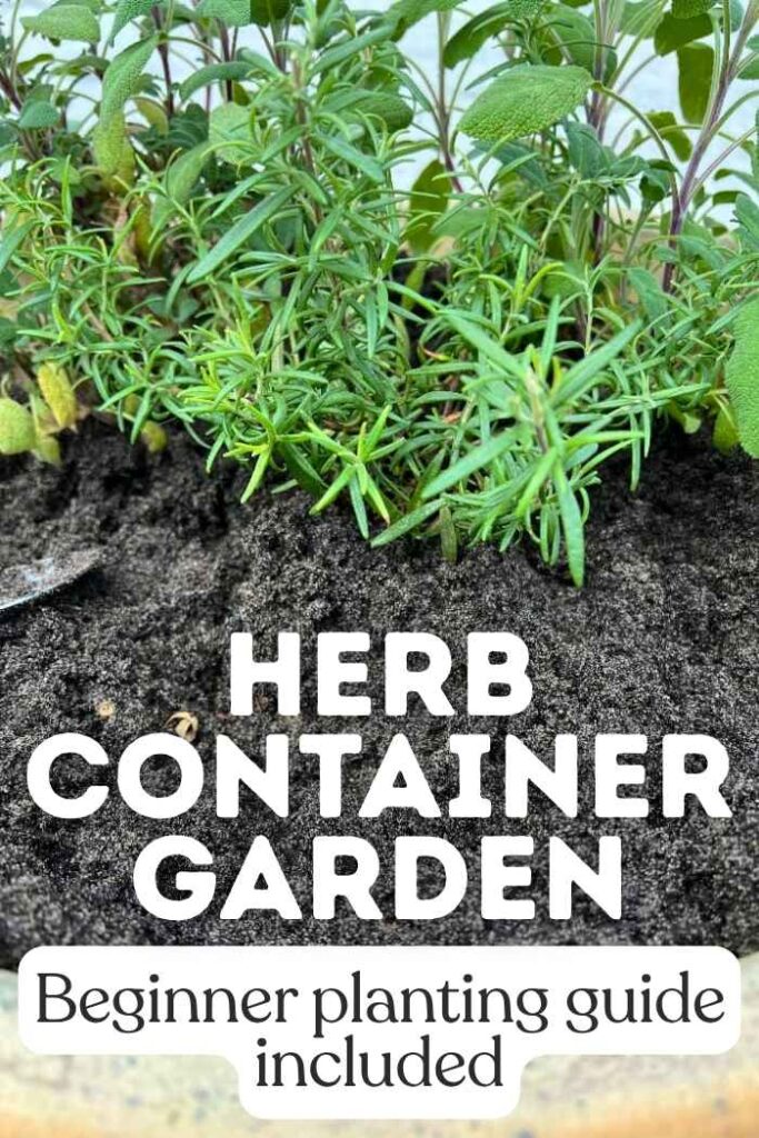 photo of a herbs in a container