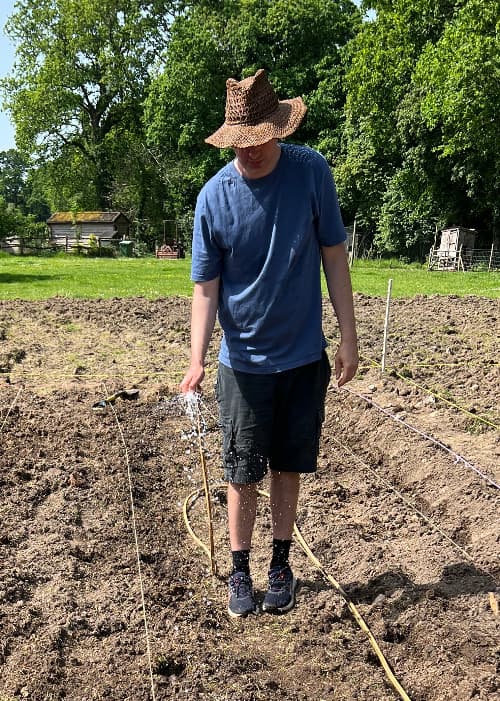 person watering newly planted potatoes with a hose
