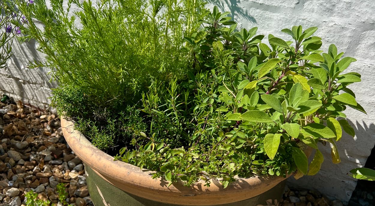 How To Make A Herb Container Garden - With Step By Step Planting Guide ...