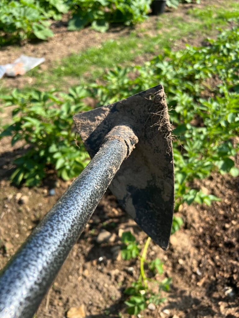 photo of a triangular warren hoe